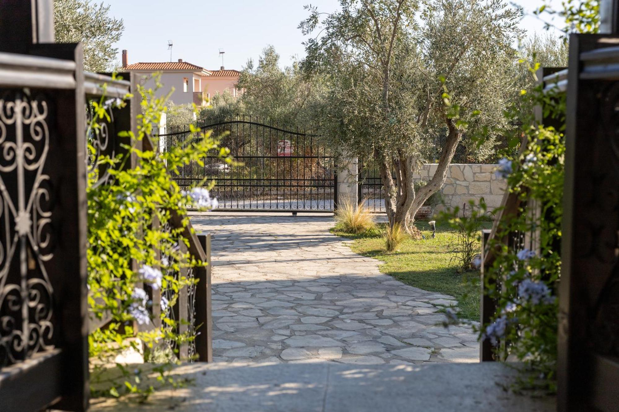 Villa Joy Ormos Panagias Exteriér fotografie