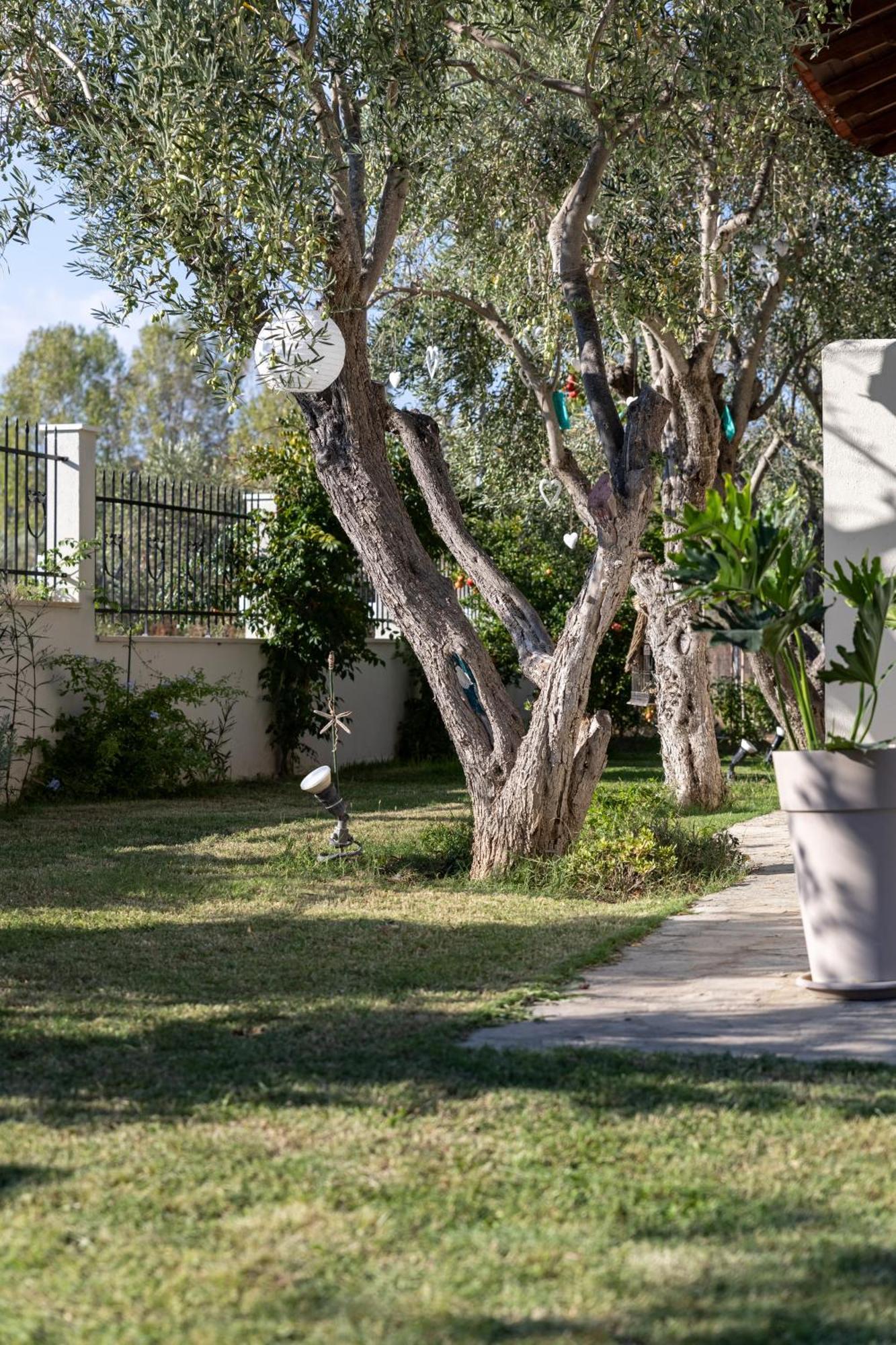 Villa Joy Ormos Panagias Exteriér fotografie