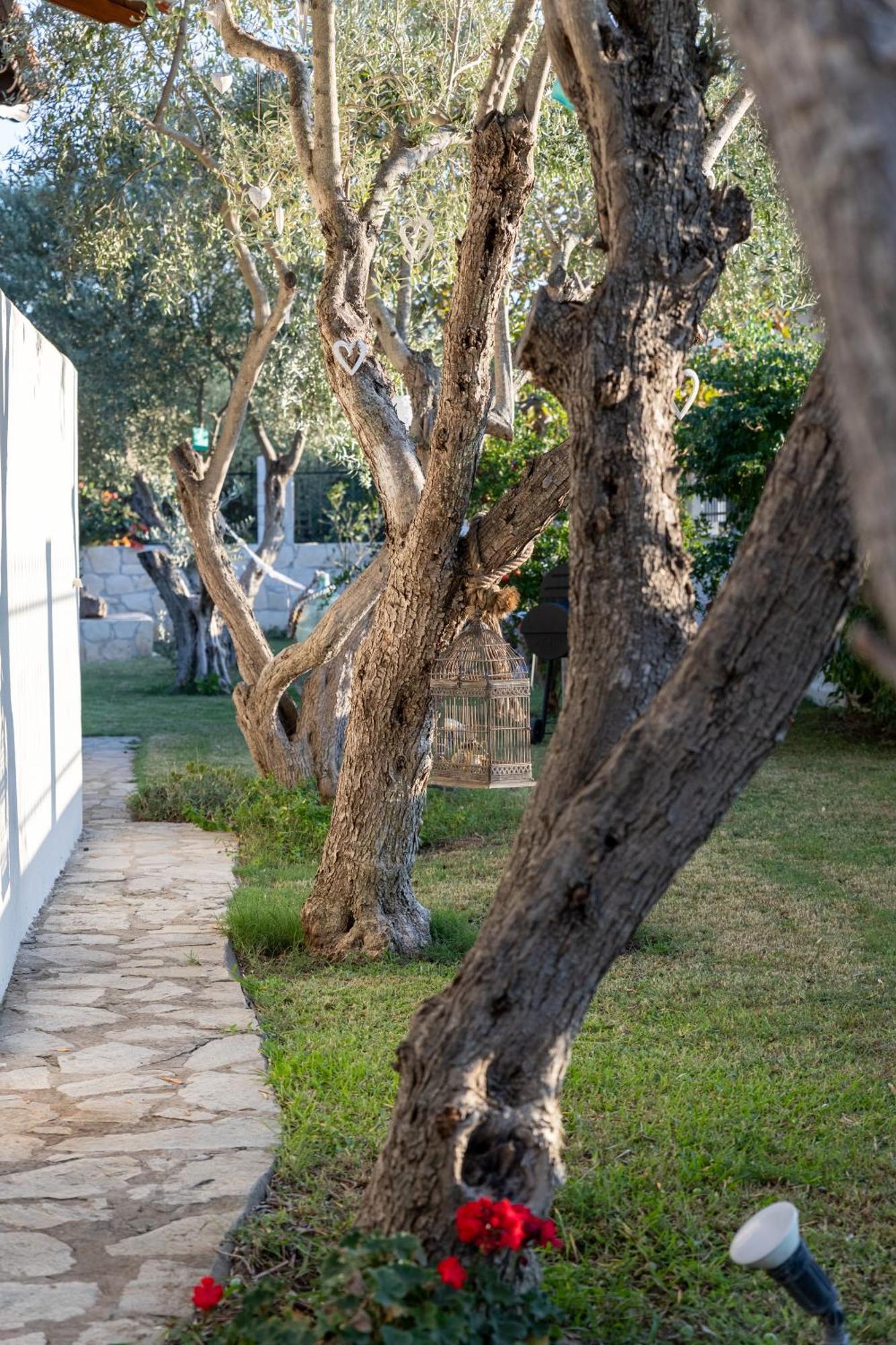 Villa Joy Ormos Panagias Exteriér fotografie